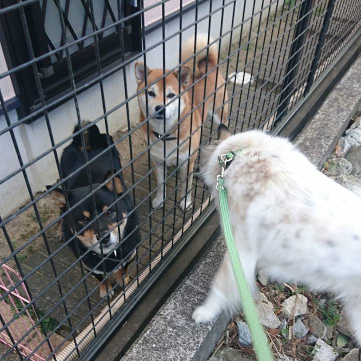 50440446 dff2 4934 a7aa 7d94d37062ec