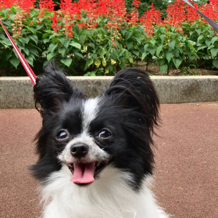 50456e94 abd8 46e8 9036 dbd8d3c526d6