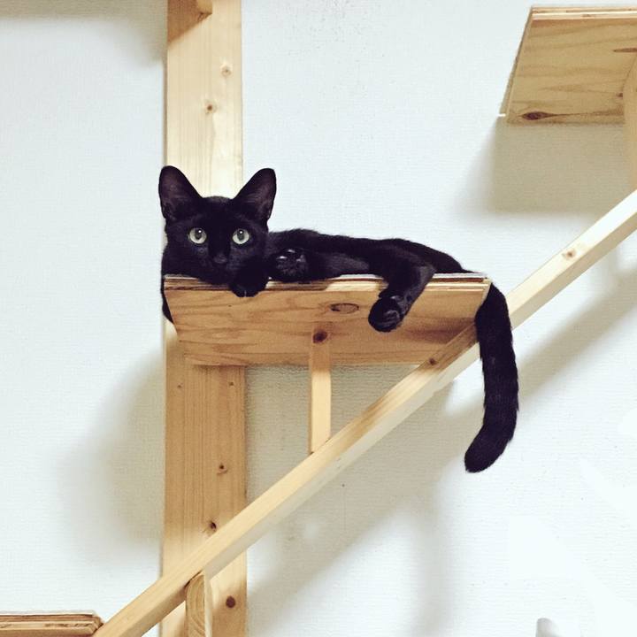 5045779d 8329 4044 86a0 4db19bfa3d04