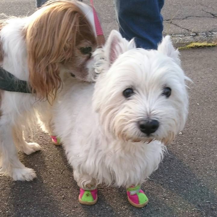 5045cf66 9776 4c45 b3e7 9917b039b0bd