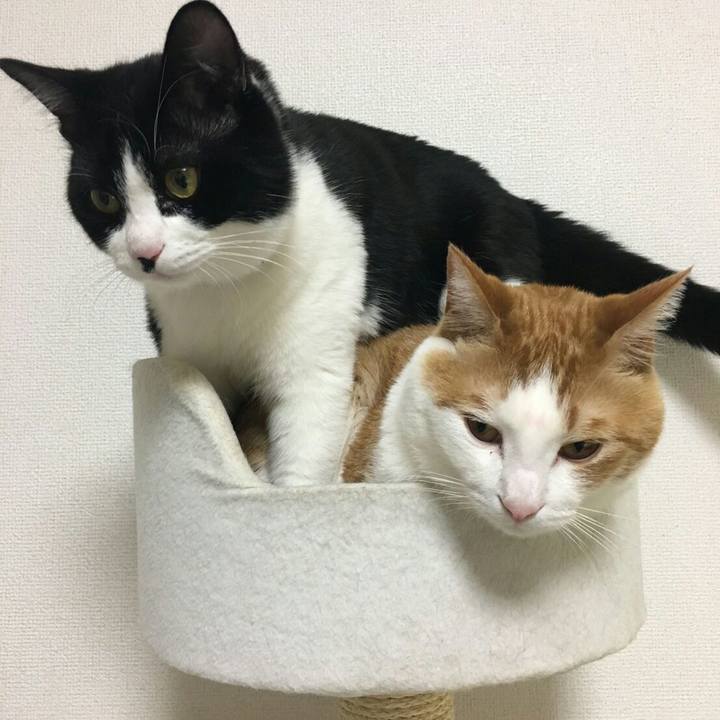 5045f39f 9c3c 4d67 9403 a13606617279