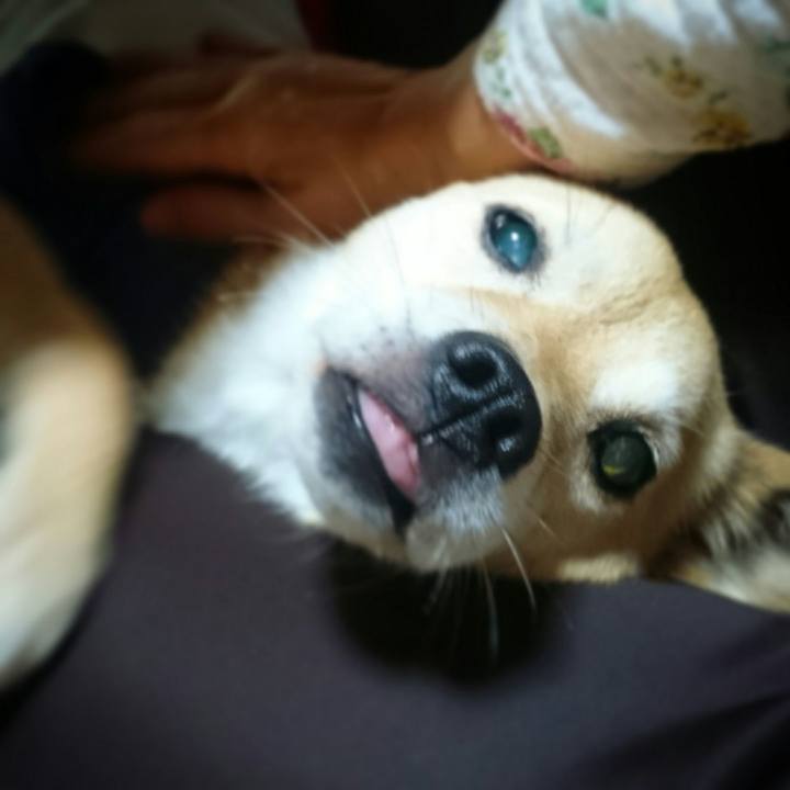 5046a462 362e 41bb b153 c0f4df954a91