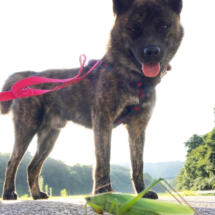 5046e30a 1d0f 4dd2 9b27 a1d0be035be4