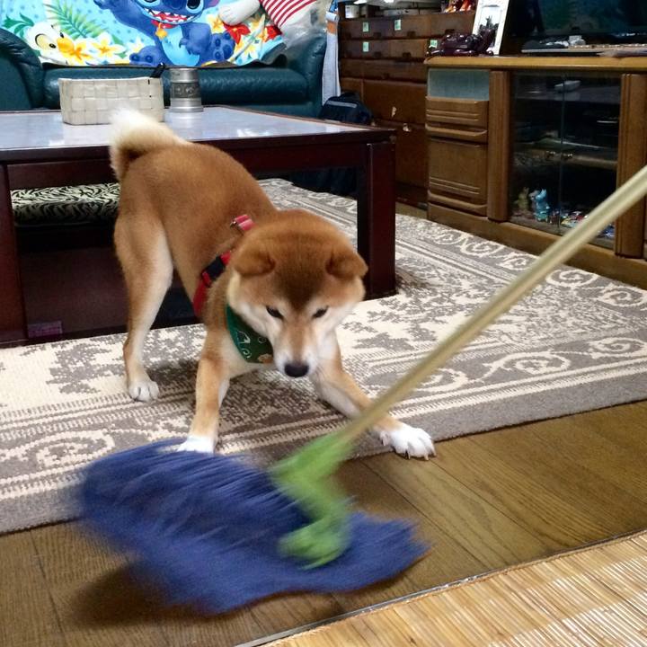 50471f30 1482 475a af70 0974d9ab1ec5