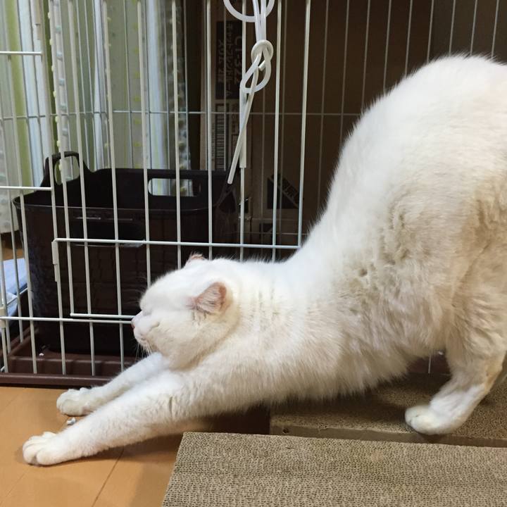 50475f7c 0573 4737 86a0 774a61b67f4c