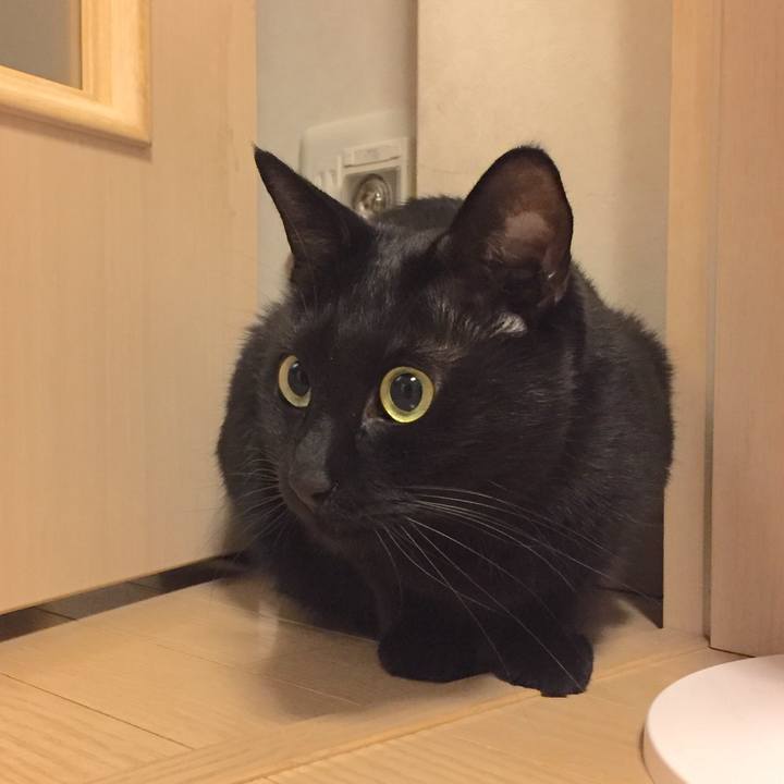 50480f63 e044 490a 9b80 ec5f4ff43ca1