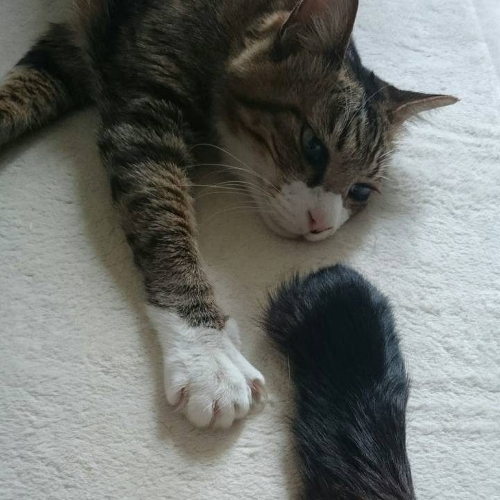 50488405 e4b1 4d99 992f f25ced68c17d