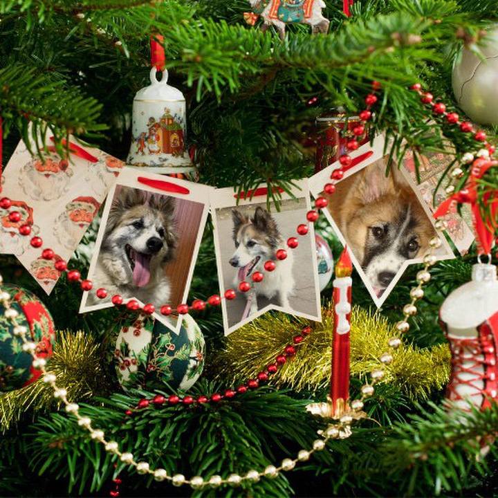 5048950c d62d 4c62 883d 1d4ca0dc2047