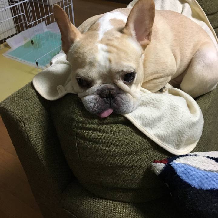 5048a5c4 4997 4486 b562 4307fcc732dc