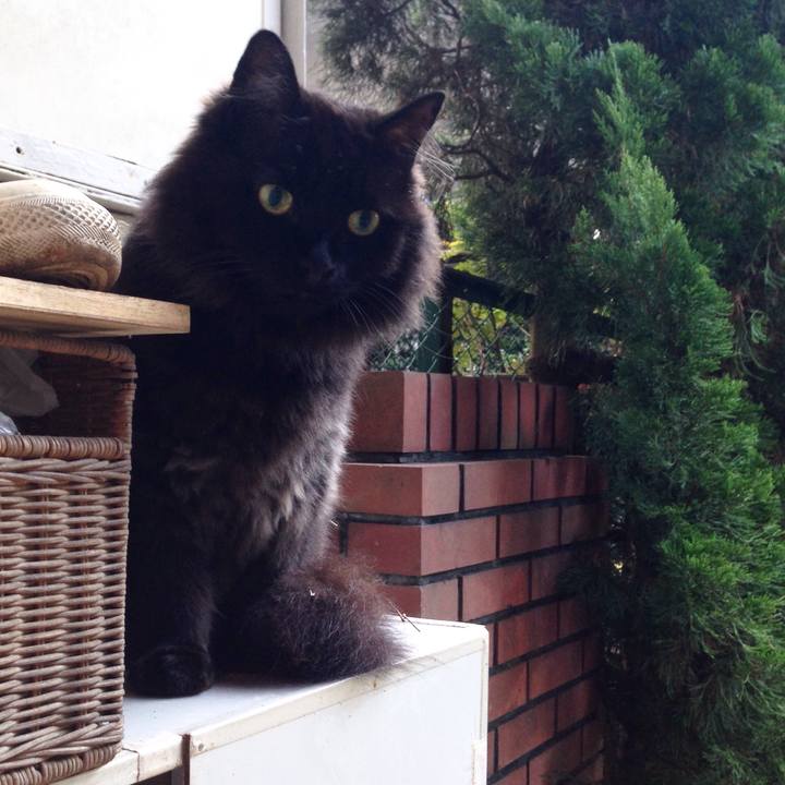 5048ffba d75a 4a3f bcc6 fa8eafd52383