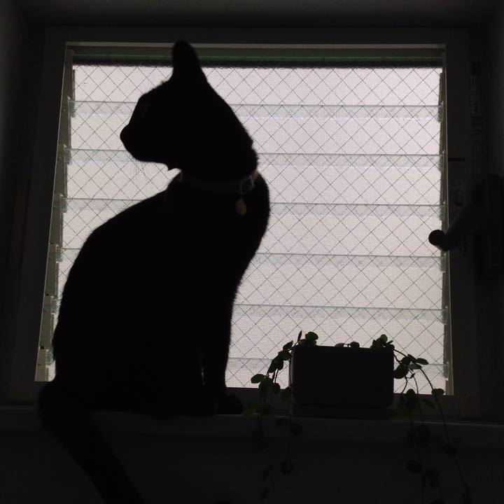 50493b04 307e 4d59 b24d d43c7fbbaacc