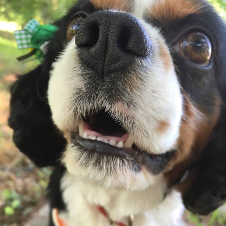 5049db32 84ab 4dfd 8ff7 bf06165777eb