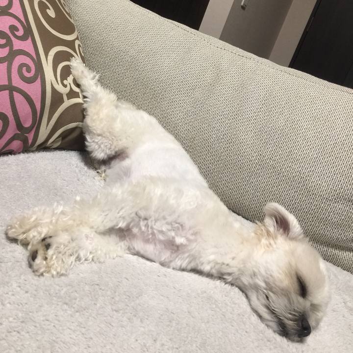 504ad17e 5057 4bff 9862 5d3e7008e1b6