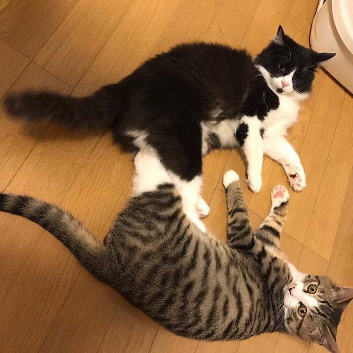 504adda2 725a 4ea8 a0ee efe449643244