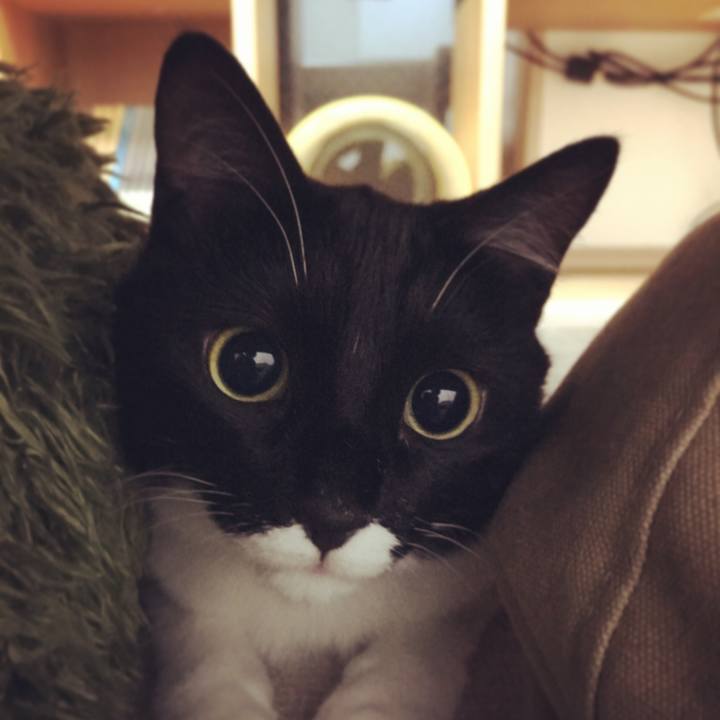 504b666b 2e58 4e8e b75a 541fbb758d20