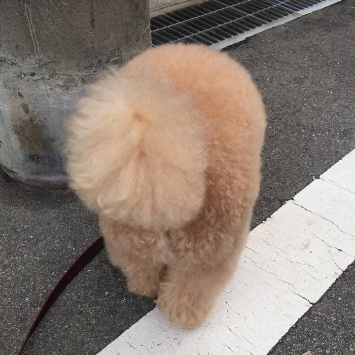 504bb513 ed1f 4d13 82ff a0801cd74e2c