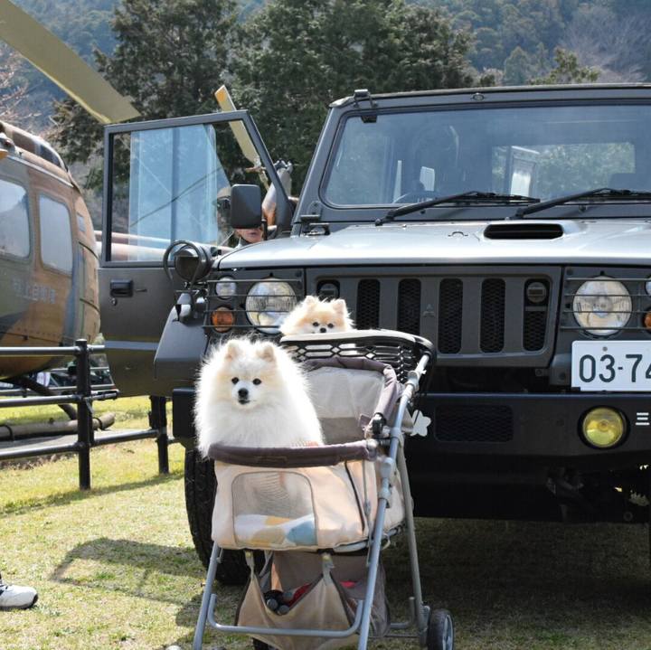 504bd007 ae88 4d39 8df9 5f2a4c124757