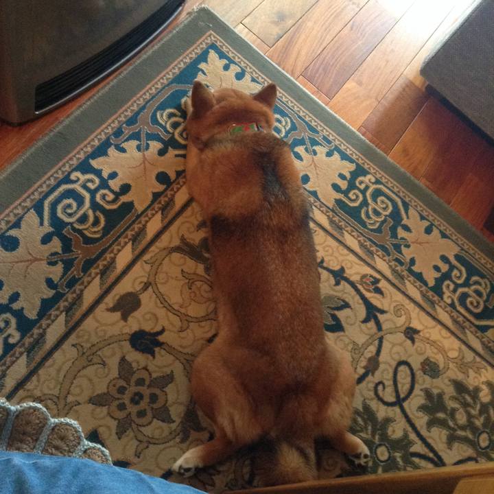 504c136d 79d8 479f 8695 b38ffb969d9e