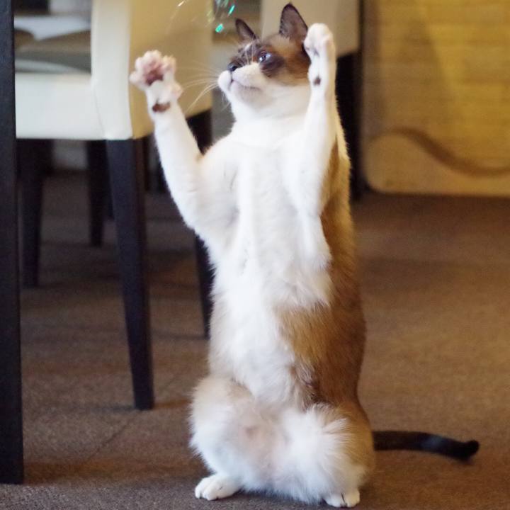 504c1c70 a197 4c01 8b9e 10a6f56f6abc