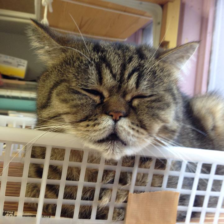 504c7349 c549 455b a569 c657cedba6a5