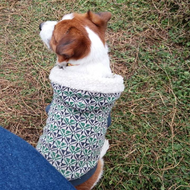 504cbce8 0478 43fb 9f4e 94d67459dd3f