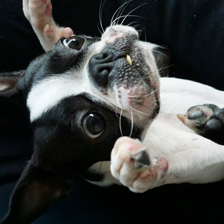 504d5a7a 27a6 4c2a baf7 6e880127e2db