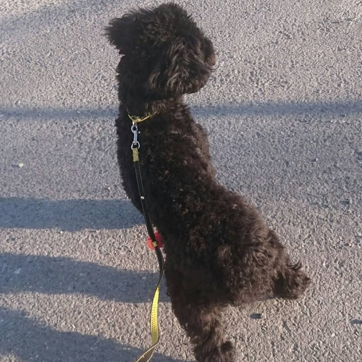 504d7b71 d9eb 42af ac42 8d40fe46cb6e