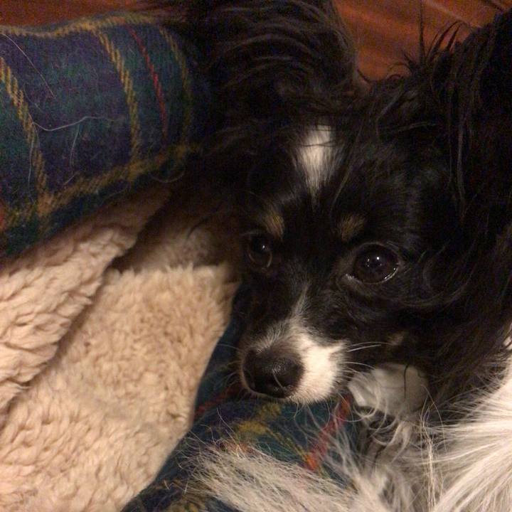 504dc362 a7e5 444e b487 f8a81b898991