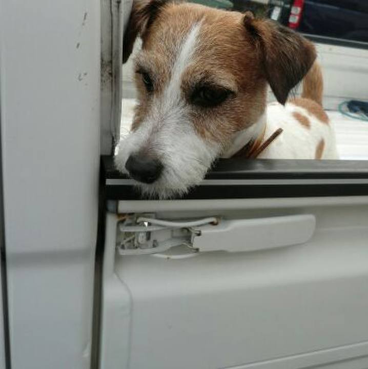 504e33a8 35b7 4896 9363 a1ff8a136d76