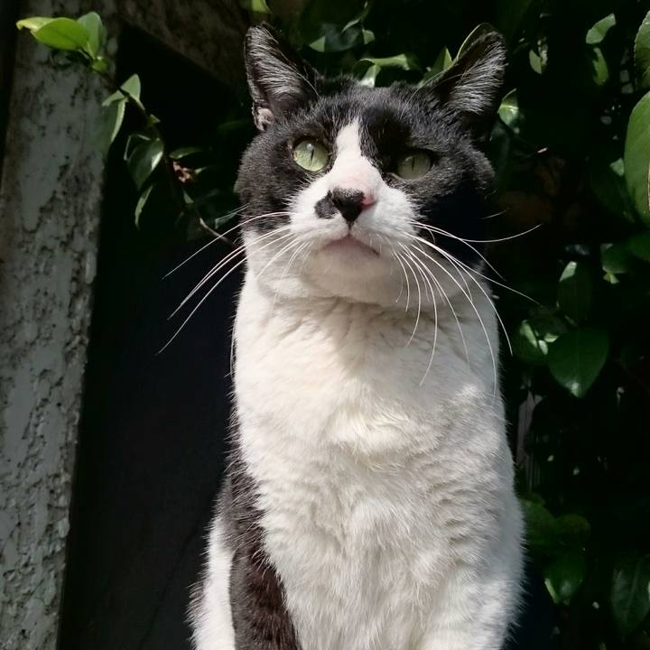 504e52c0 ca31 4cd7 a3e1 297e764ea8dc