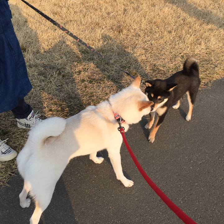 504eb514 587e 435e 965e 8d3a56f7d95e