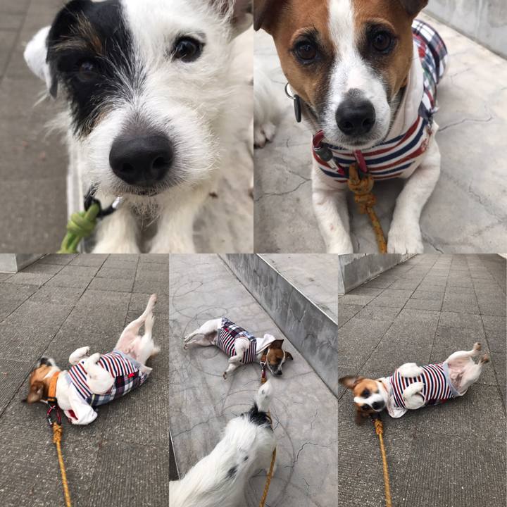 504f53df 0fb9 4982 bc3e c9eba7829ba2