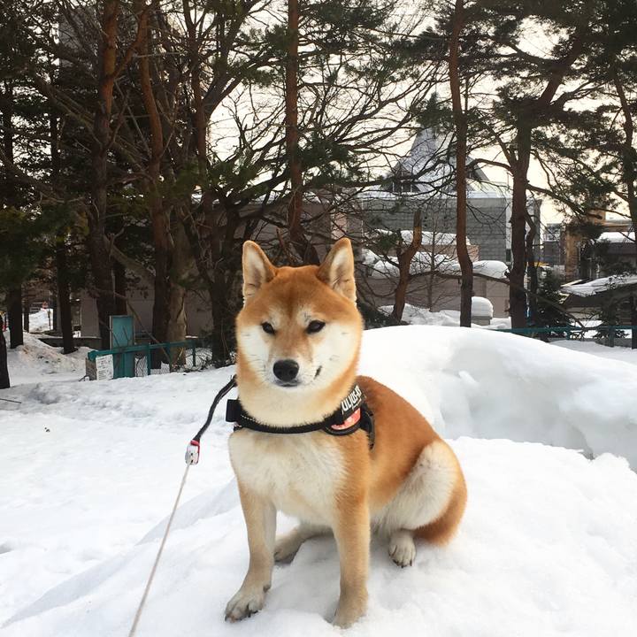 504f70ee 30b3 4d42 8a9e 4a1b98c9b939