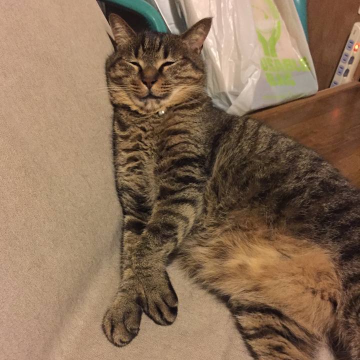 504fb7de ea35 41e3 96b4 998dffb2baab