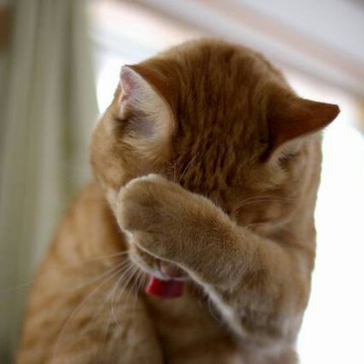 505024a2 5457 4d87 9de5 f06084949103