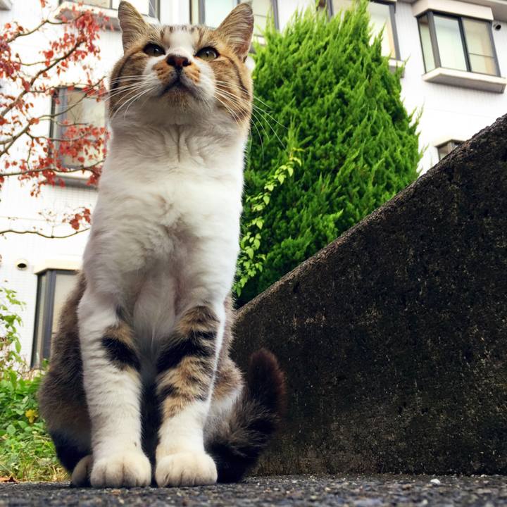 505086fc 01e8 4d6a a3bc 3c5aeb149f26