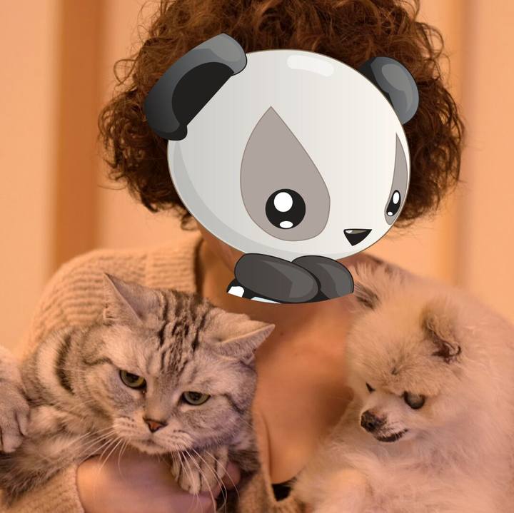 5050e1da 777c 419b 9ddd 0957e67d8125