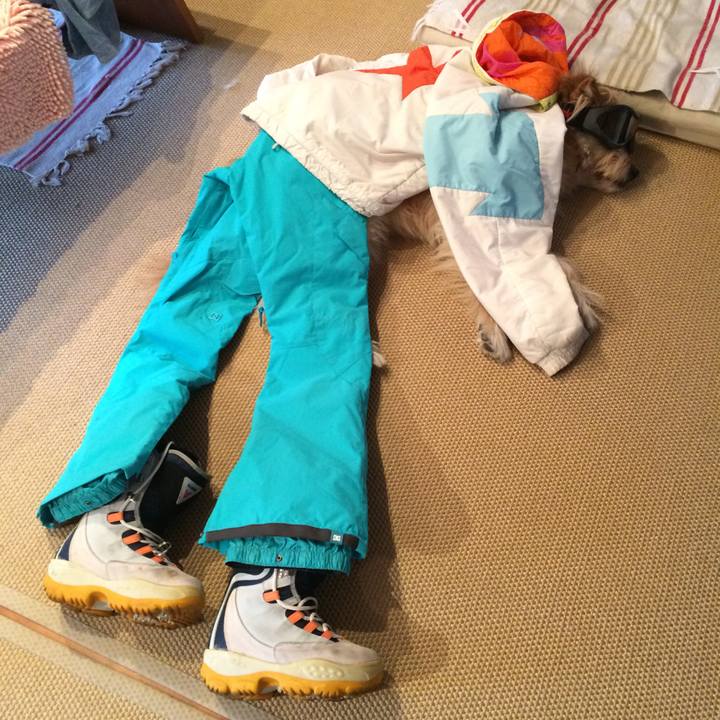 5051c0a3 c799 459f 8114 615dcdc517ef