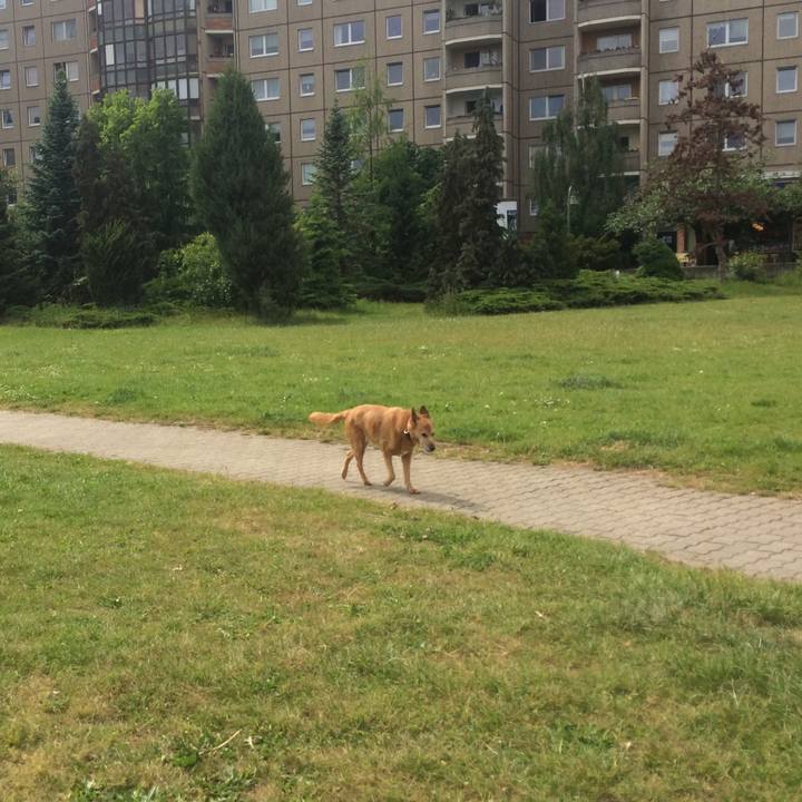 5051ec30 0c9d 4f93 8379 d1446d1e049d