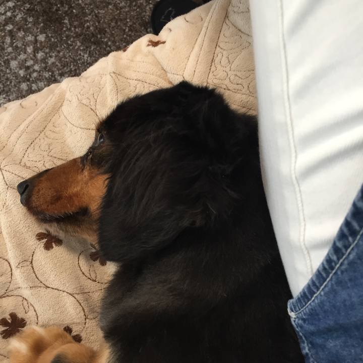 5051f8db eca3 4ac5 94d0 1ee184191857