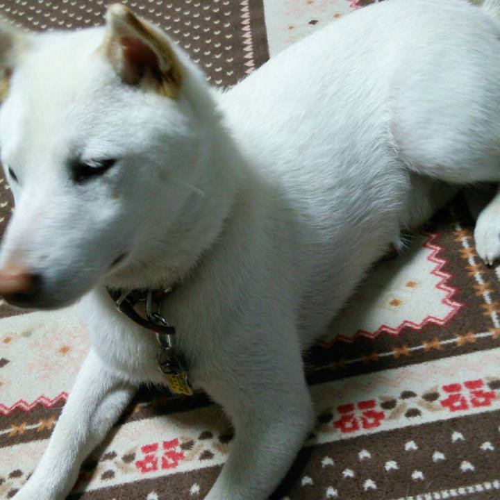 50520f20 caa4 4a2b 9cec a5354bda9bff