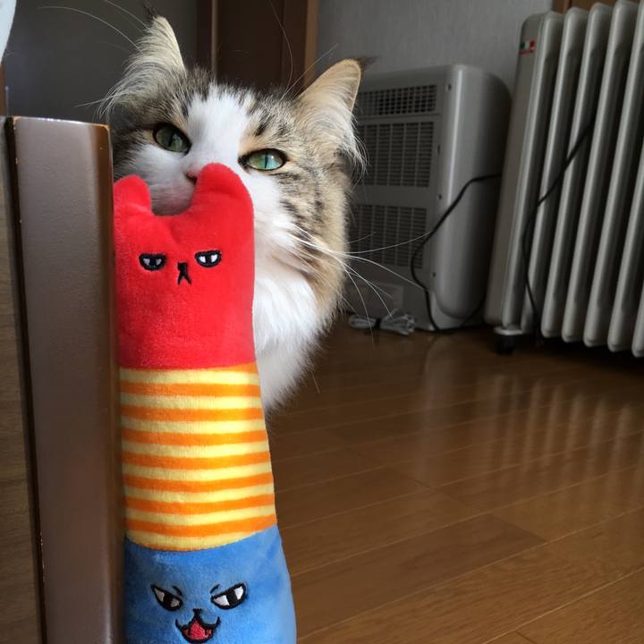 5052fea8 c609 48da 8d7d ca4530f51bd9