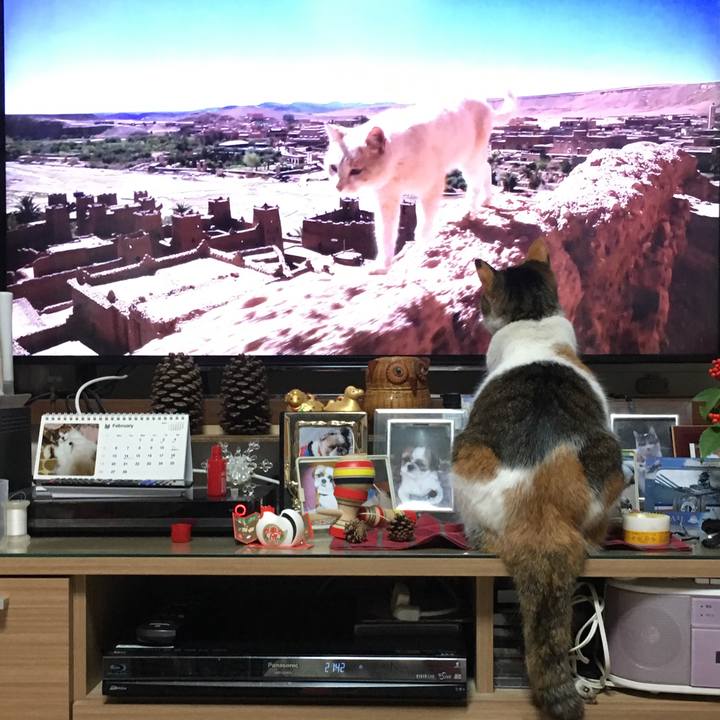 50542030 ead9 4f90 9fe1 3ce4025a8b2d