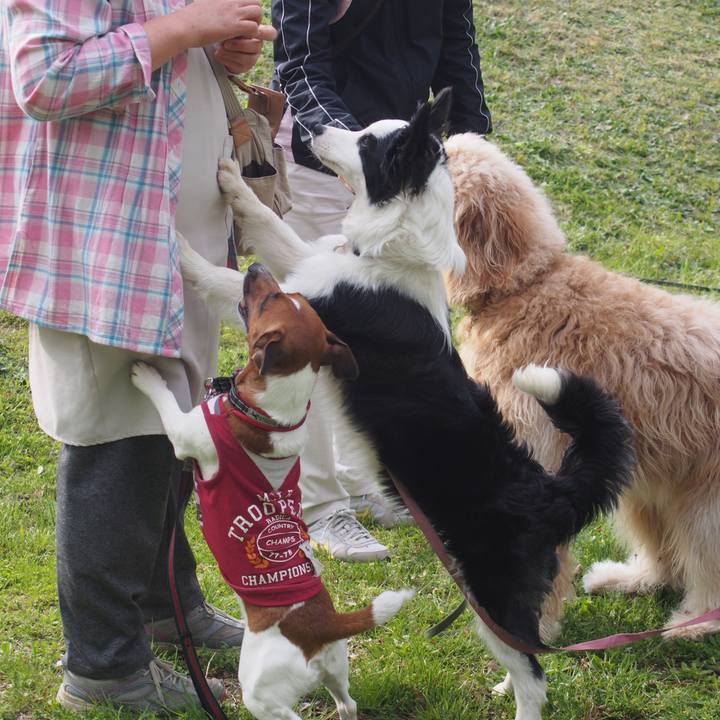 50542382 db96 4fb0 978f e982e0786649