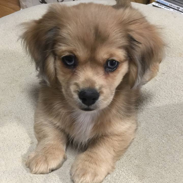 505437b5 d122 4836 a9f1 d7540ad30048