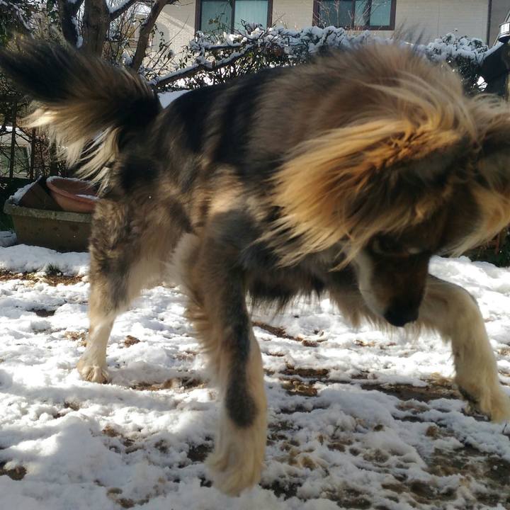 50546b5a d19d 4c68 838f d776796914f8