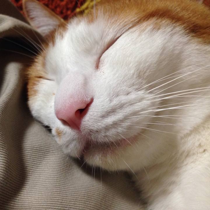 5054cd1e 0bb2 48ea b455 933c0970ebe9