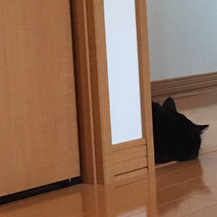 50551c05 1546 475f 9e91 e9b29e880338