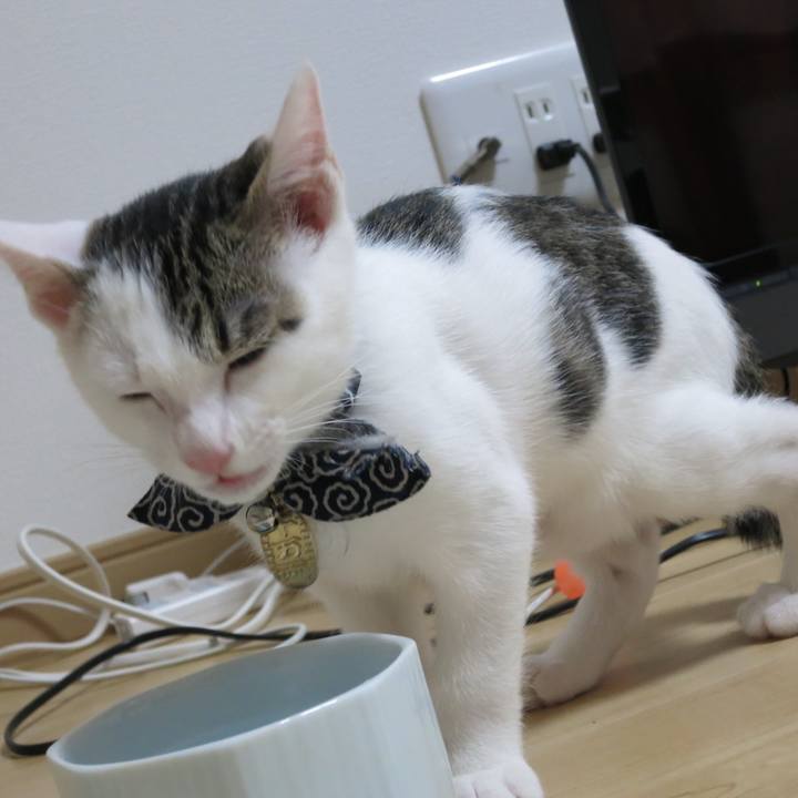 50555e6e d684 450a b82a 46f656fefa2a