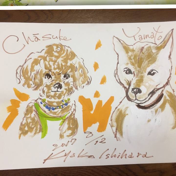 5055c2d2 16b1 4a10 b554 2e64d80e6bcf